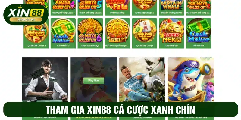 Tham gia XIN88 tha hồ cá cược xanh chín 